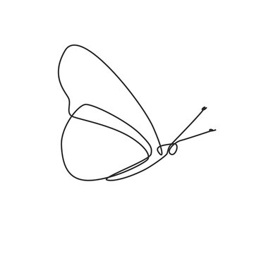 Drawing a continuous line. Butterfly on white isolated background