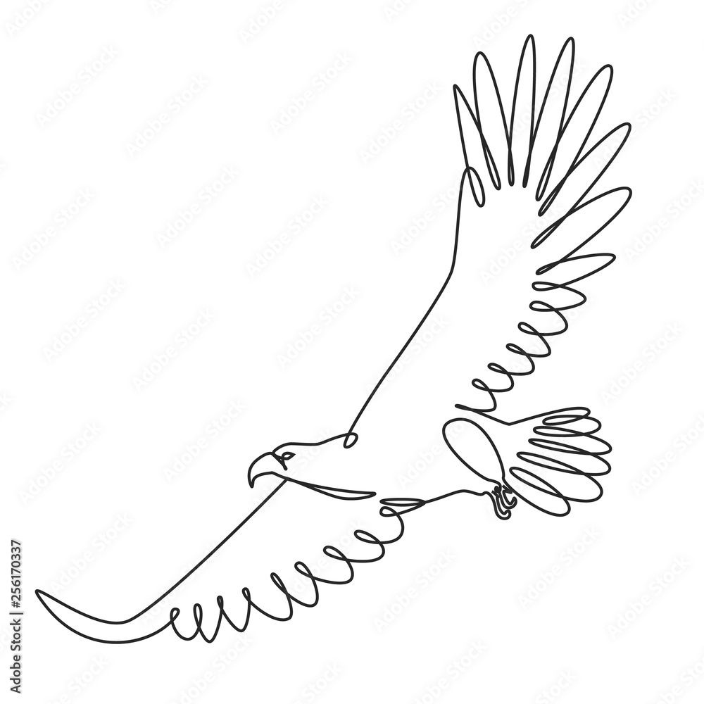 Wall mural Drawing a continuous line. Eagle on white isolated background