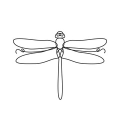 Drawing a continuous line. Dragonfly on white isolated background
