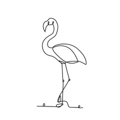 Fototapeta premium Drawing a continuous line. Flamingo on white isolated background