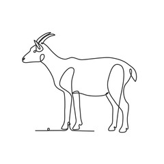 Drawing a continuous line. Goat on white isolated background