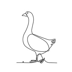 Drawing a continuous line. Goose on white isolated background