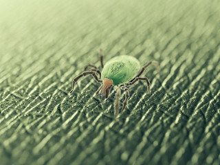 3d rendered medically accurate illustration of a tick - sem style