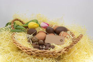 Fond graphique bucolique et champêtre sur le thème de l'arrivée du printemps et de Pâques