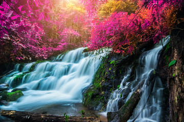 Amazing in nature, beautiful waterfall at colorful autumn forest in fall season 