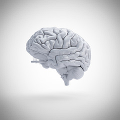 3d rendered medically accurate illustration of a human brain