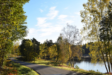 Fototapeta premium Country road by a lake in Sweden