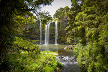Whangarei Falls Neuseeland