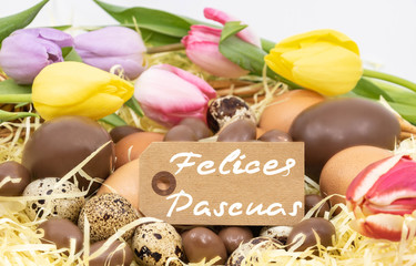 Felices pascuas écrit en espagnol pour ressource graphique sur les thèmes de Pâques et arrivée du printemps