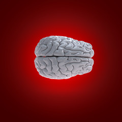 3d rendered medically accurate illustration of a human brain