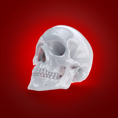 3d rendered medically accurate illustration of a human skull