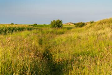 Fototapeta premium Landscape at the Gronant Dunes Nature Reserve, Denbighshire, Wales, UK