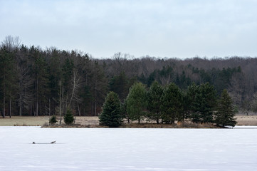Snow Covered Lake