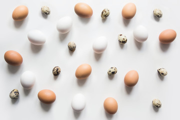 Fresh flowers, organic white and brown eggs on white. Abstract pattern. Eggs and food pattern.