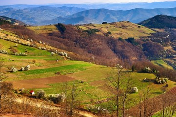 Obraz premium Stunning mountain scenery in spring in Europe with many green hills and trees