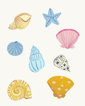 Colorful Seashells