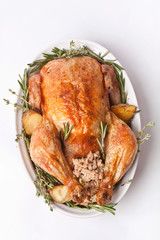 whole roasted stuffed turkey in a dish