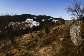 Fototapeta premium Landscape in the Hutsul mountain village in the morning .