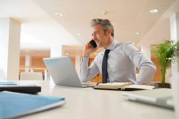 Mature businessman talking on cellphone in modern office