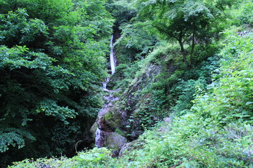 秩父華厳の滝