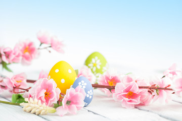 Easter eggs and pink flowers decoration on blue background