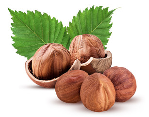 Hazelnut in shell and three peeled, with leaf. Fresh organic filbert.