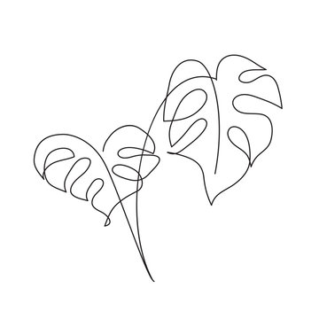 recommend clip art: Monstera Tropical leaf