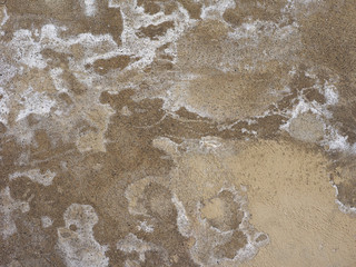dampness moisture on wall