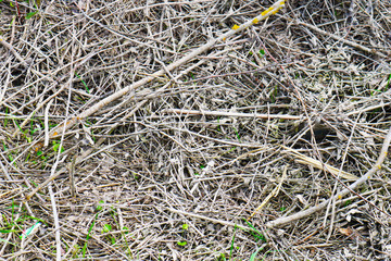 Pile of dry branches composition as a background texture