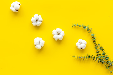 Natural flowers composition with eucalyptus branches and cotton on yellow background top view, flat lay copy space.