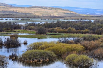 In the mountains of the southern Urals came a warm sunny spring.