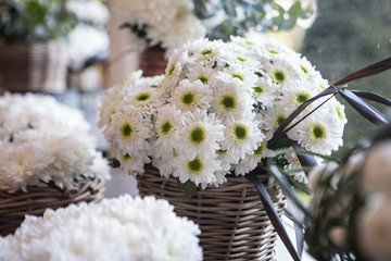 beautiful white flower in the basket