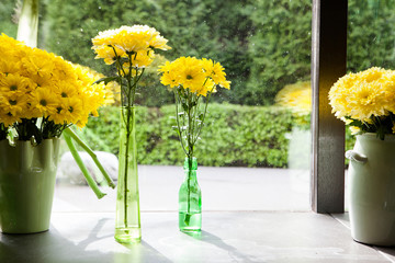 flower near the window. yellow