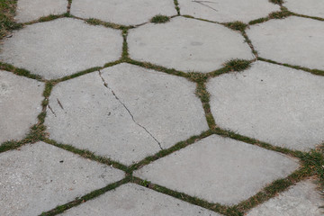 Paving slab. Paving