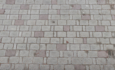 Paving slab. Paving