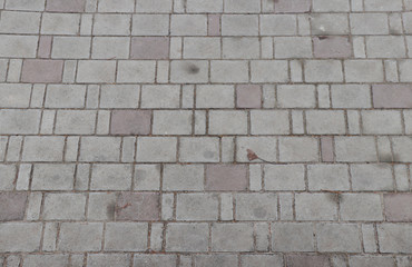 Paving slab. Paving