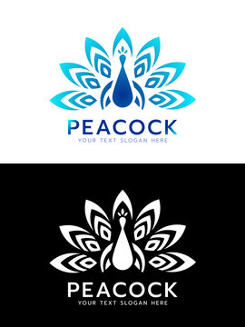 Luxury blue and white Peacock logo sign vector design