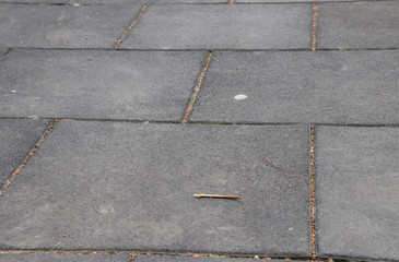 Paving slab. Paving