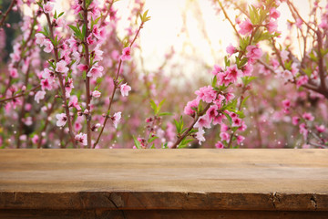 wooden table in front of spring blossom tree landscape. Product display and presentation