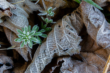 texture and background