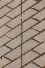 Paving slab. Paving