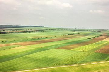 Fototapeta na wymiar View of the lush green fields