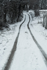 Obraz premium Country road in snow, Zagorje County, Croatia