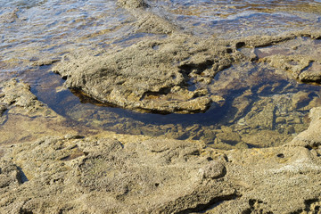 Stone texture under water