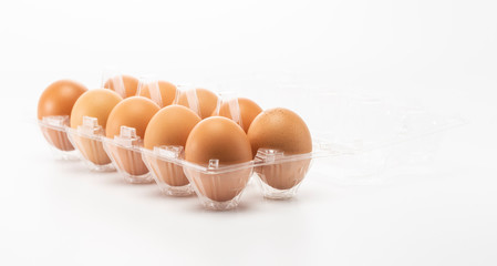 Ten eggs in side the open plastic packaging isolated on white background
