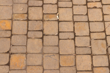 Paving slab. Paving
