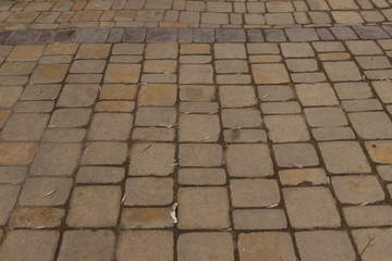 Paving slab. Paving