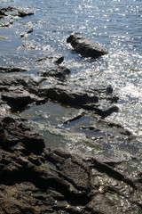 Rocky shore of the Adriatic sea