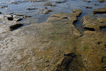 Rocky shore of the Adriatic sea