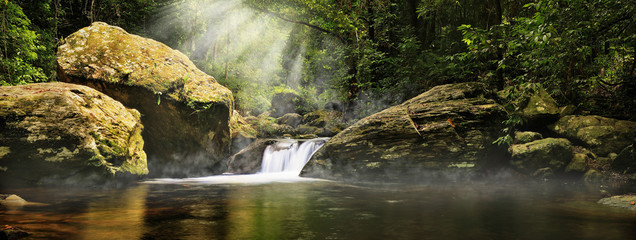 A magic morning in the jungle. Morning mist rising over the creek,  several sunbeams lighting down...